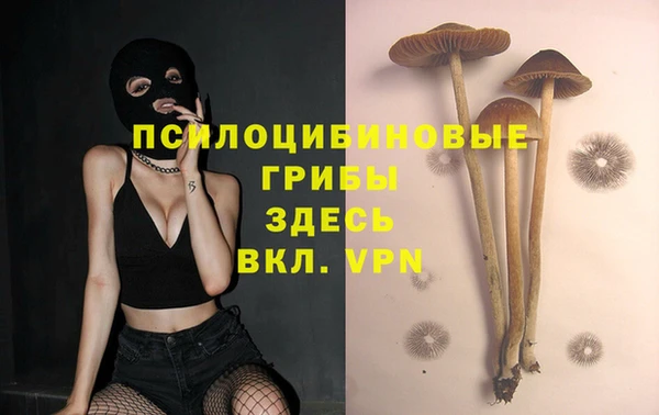 бошки Белоозёрский