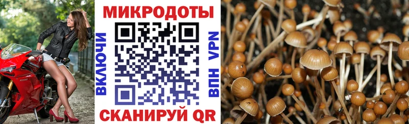 Псилоцибиновые грибы Psilocybine cubensis  закладки  KRAKEN рабочий сайт  Новое Девяткино 